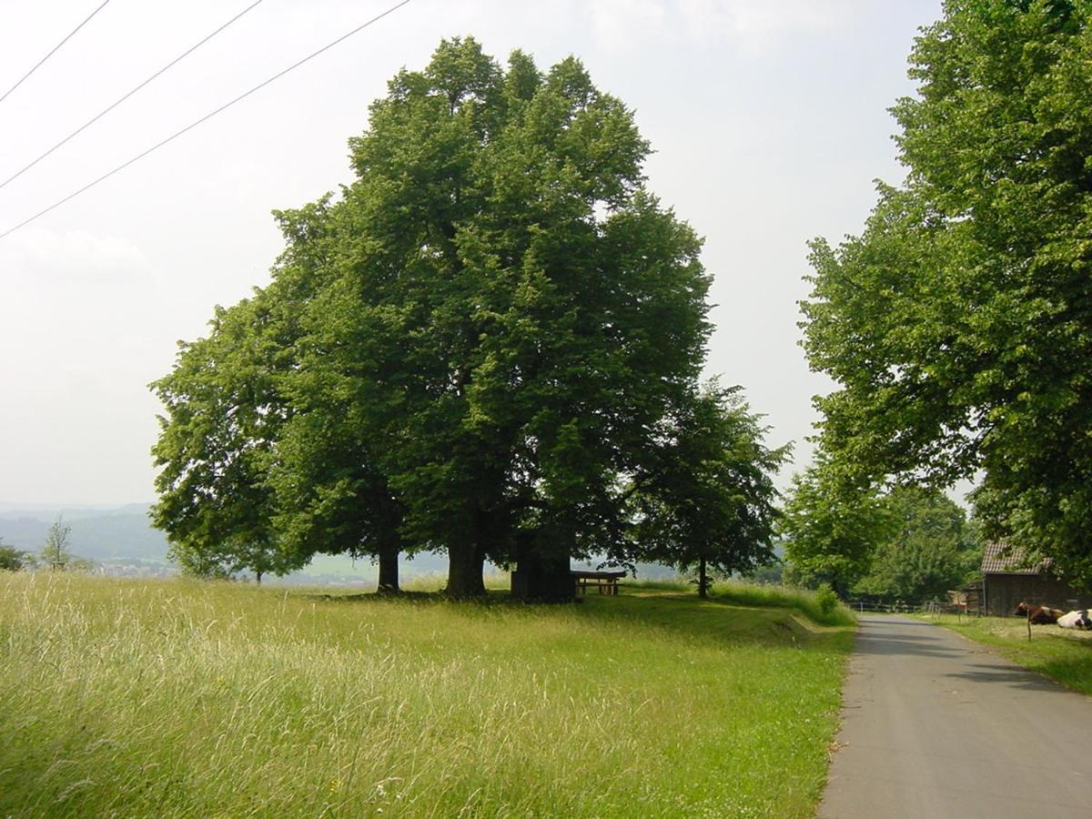 Hotel Landhaus Appel Schotten Zewnętrze zdjęcie